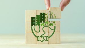 Five Calls to Action for Foundations Catalyzing Climate and Environmental Impact